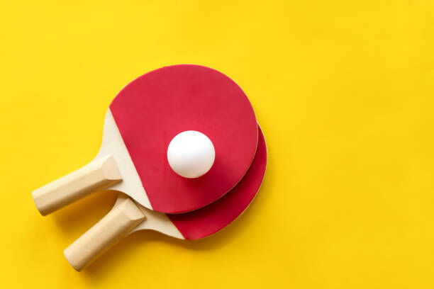 Best Table Tennis Equipment for Beginners